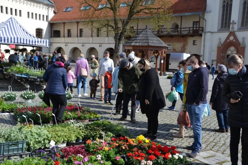 zdjęcie wyróżniające Zamkowy jarmark kwiatów w kwietniu na Zamku Piastowskim